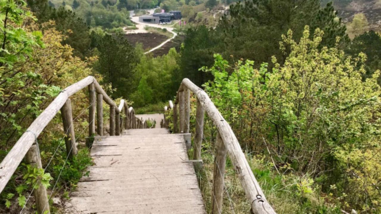 Holidays In Dirkshorn Екстер'єр фото